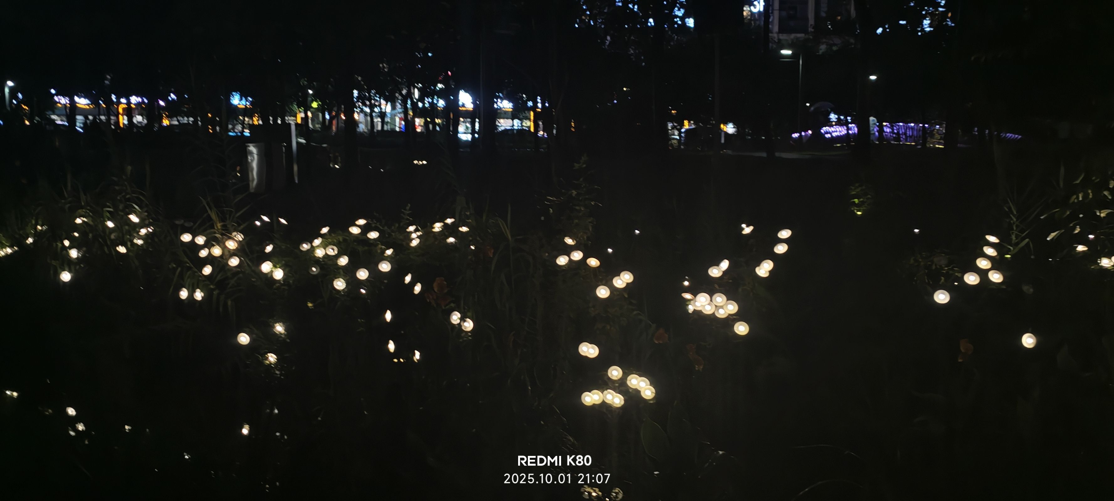 夜1